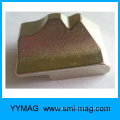 Irregular shape neodymium/NdFeB permanent Magnet